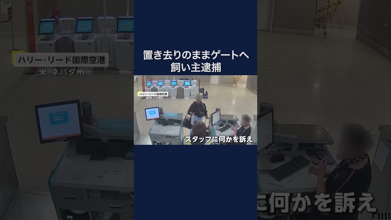 空港に犬を置き去りに…飼い主の女逮捕　犬は警察の家族が引き取る　アメリカ #shorts img